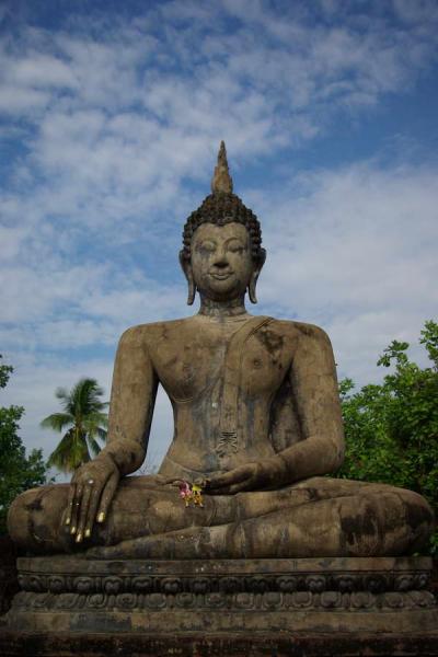 Sehr anmutig die Buddha Statuen